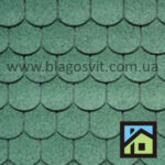 IKO_BiberShield_Forest Green_04